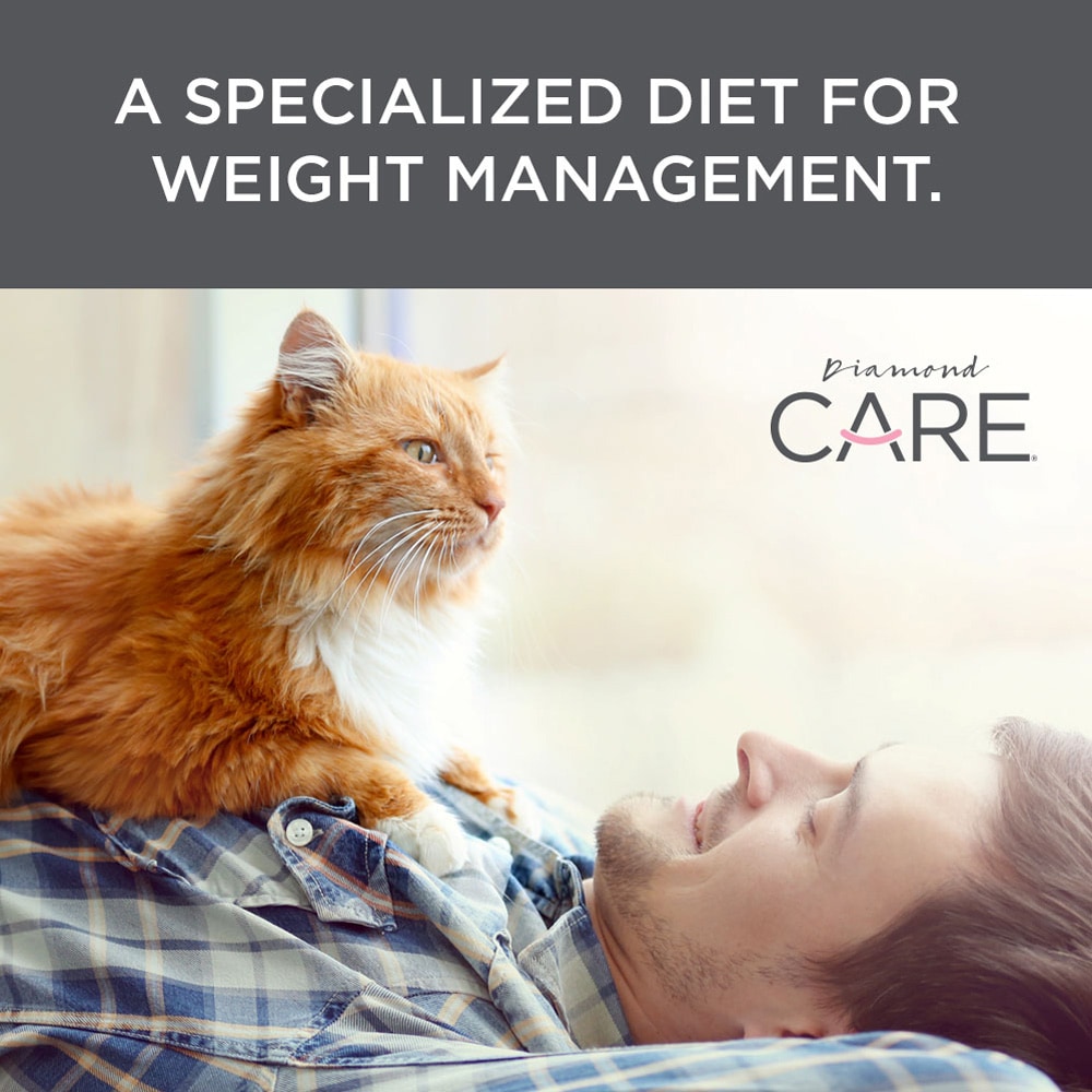 a specialized diet for weight management