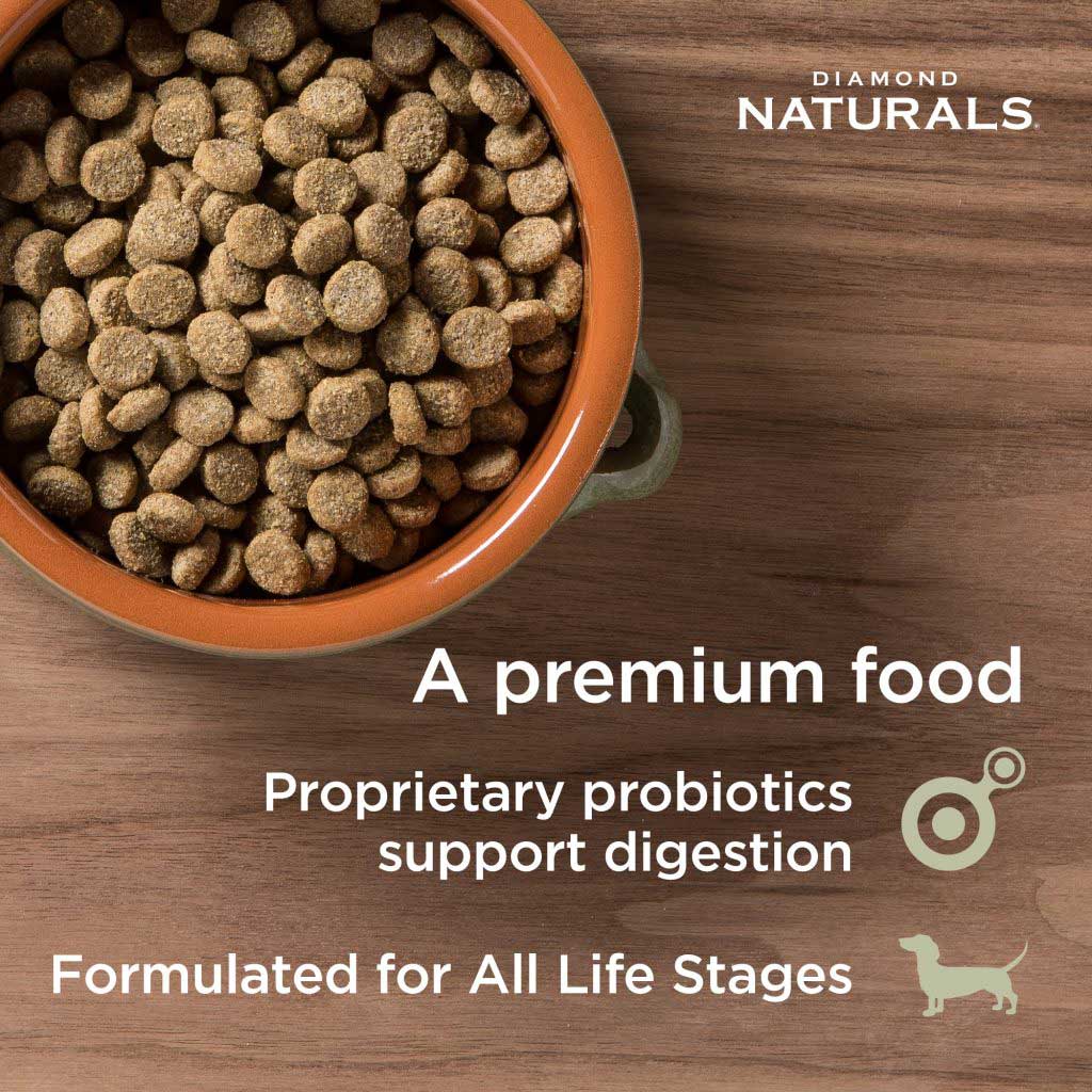 Skin & Coat All Life Stages Dog Salmon & Potato Dog Food | Diamond Naturals