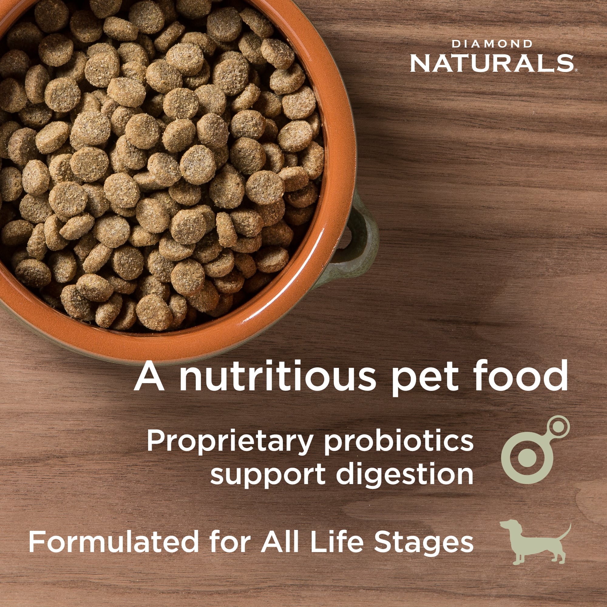 An orange ceramic bowl full of Diamond Naturals Skin & Coat All Life Stages Dog Salmon & Potato Formulakibble.