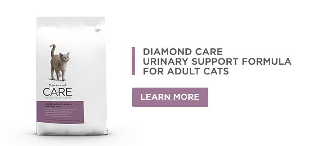 A bag of Diamond CARE Urinary Support Formula for Adult Cats.