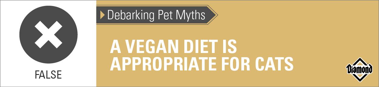 An interior graphic with text that reads, 'Debarking Pet Myths: A vegan diet is appropriate for cats — False'.