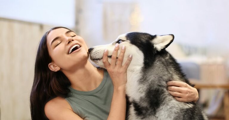A young woman playing with a husky dog at home.