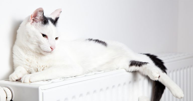A white and black cat lying against a wall on top of a white radiator.