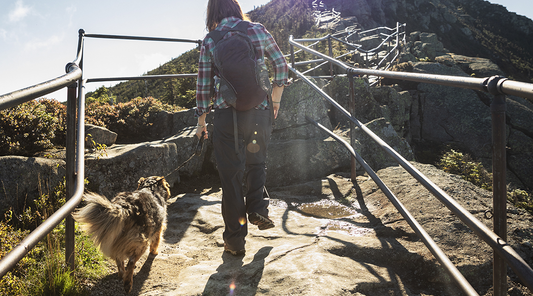 Diamond Pro89 | Diamond Pet Foods