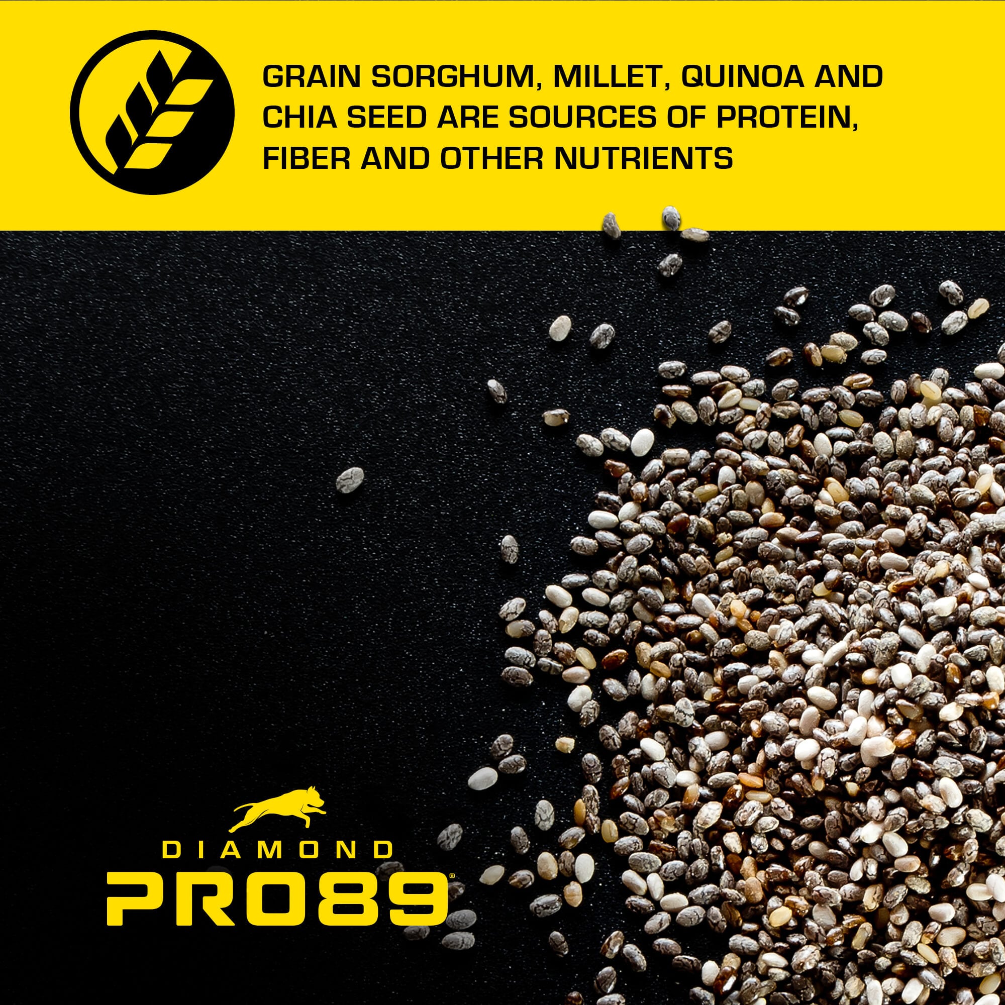 Diamond Pro89 Beef, Pork & Ancient Grains Formula for Adult Dogs