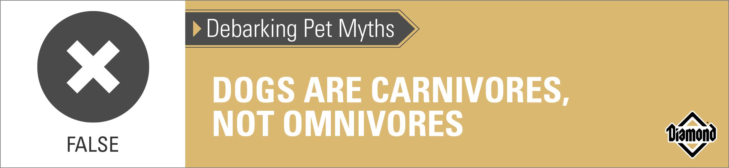 An interior graphic with text that reads, 'Debarking Pet Myths: Dogs are carnivores, not omnivores — False'.
