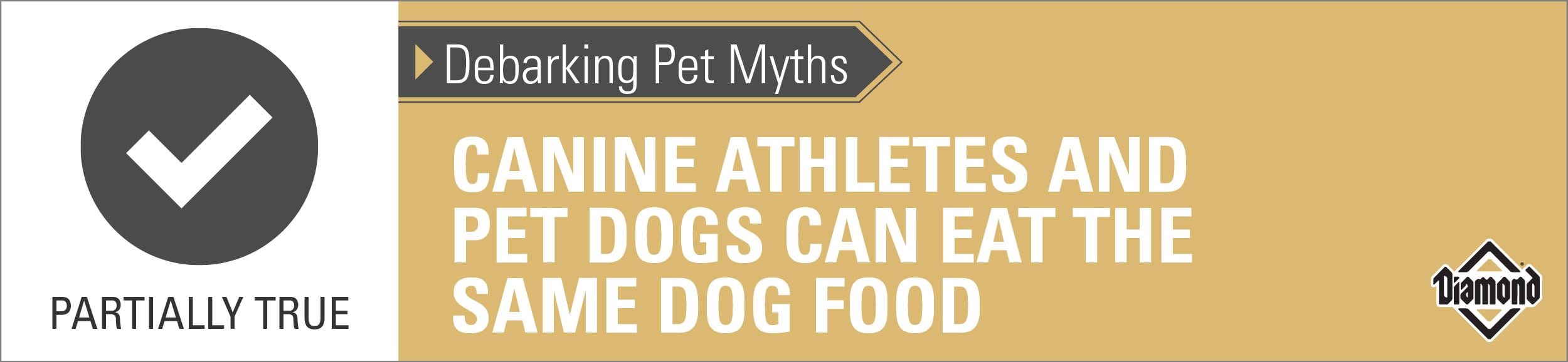 An interior graphic with text that reads ‘Debarking Pet Myths: Canine athletes and pet dogs can eat the same dog food. Partially True’.