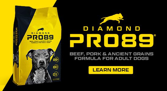 A bag of Diamond Pro89 Beef, Pork & Ancient Grains Formula for Adult Dogs next to text that reads, ‘Learn More’.