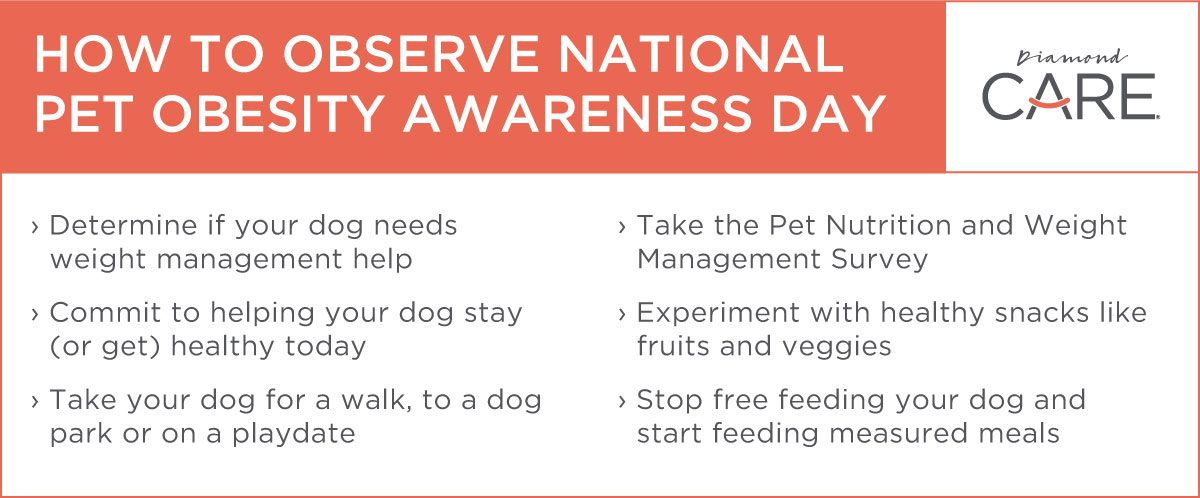 An interior graphic detailing six different ways to observe National Pet Obesity Awareness Day.