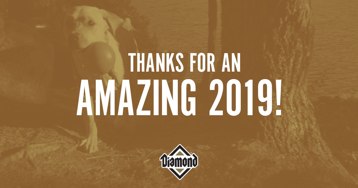 A dog standing outside with a dog toy in its mouth with text overlaid that reads, 'Thanks for an Amazing 2019'.