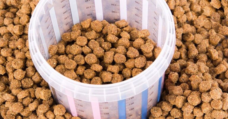 A close-up of a pile of kibble with a measuring cup in the middle that is half full of kibble.