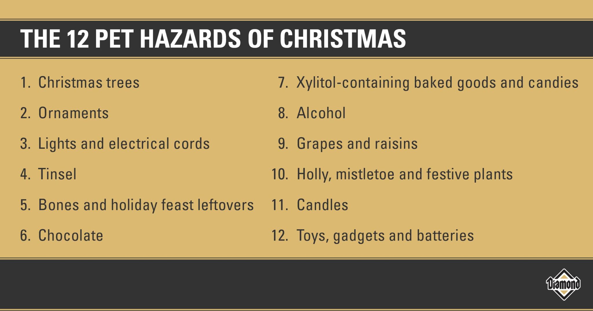 Keep Pets Safe 12 Christmas Hazards Your Pet Should Avoid