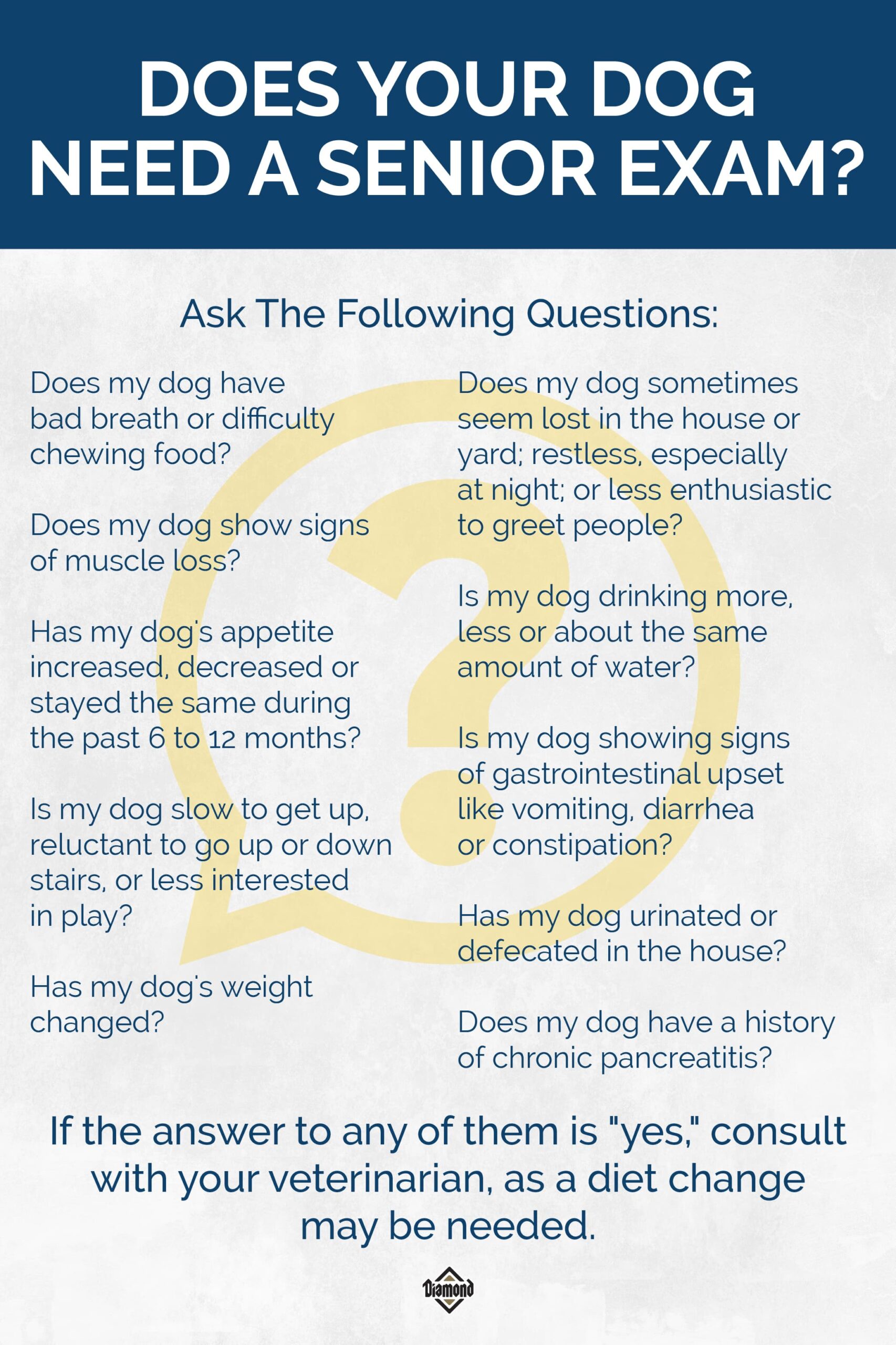 Does Your Dog Need a Senior Exam Infographic | Diamond Pet Foods