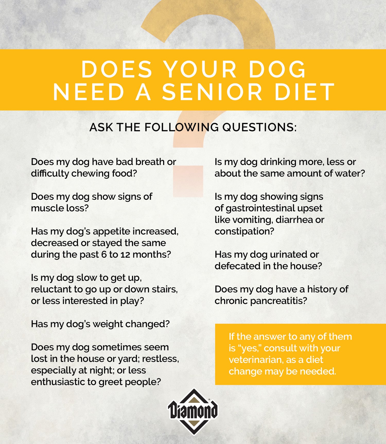 Does Your Dog Need a Senior Diet? | Diamond Pet Foods