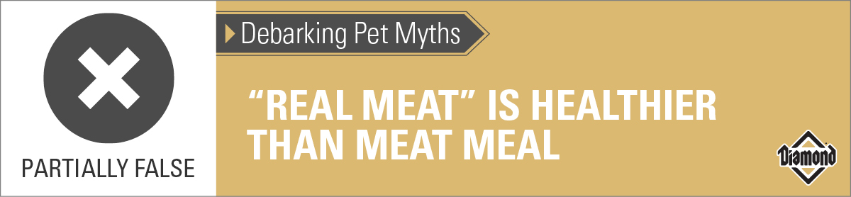 An interior graphic with text that reads, 'Debarking Pet Myths: 'Real meat' is healthier than meat meal — Partially False'.