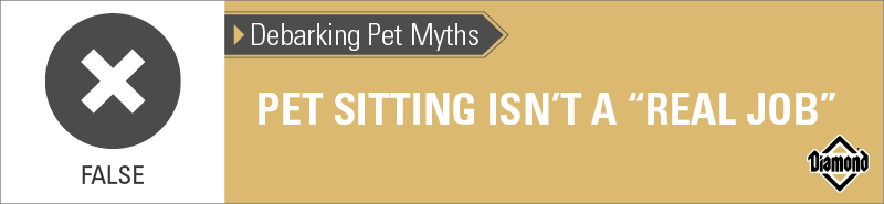 An interior graphic with text that reads, 'Debarking Pet Myths: Pet sitting isn't a 'real job' — False'.