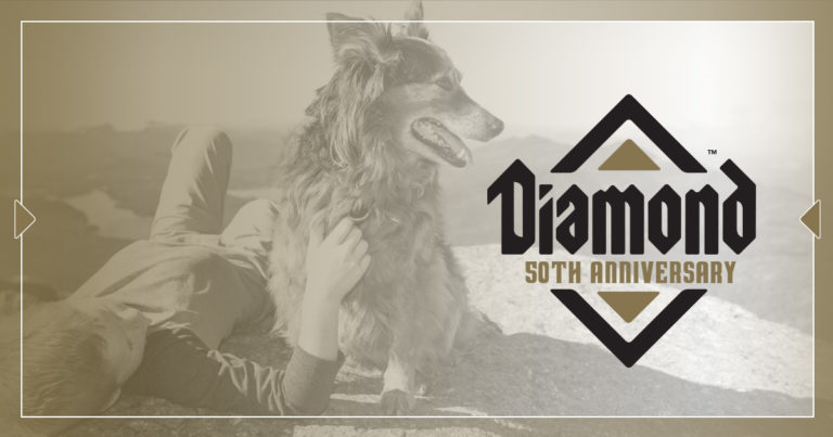 A young boy lying on a rock with a dog next to text that reads, 'Diamond 50th Anniversary'.
