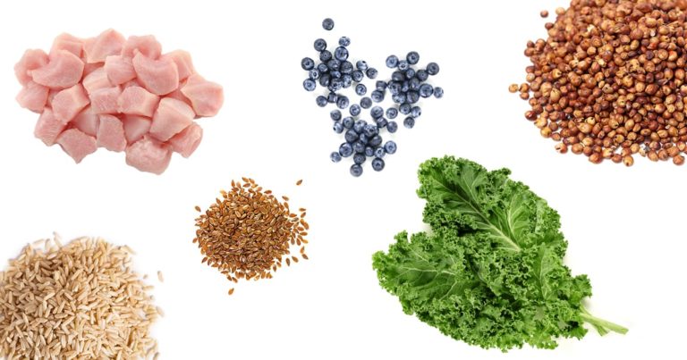 Pet Food Ingredients | Diamond Pet Foods