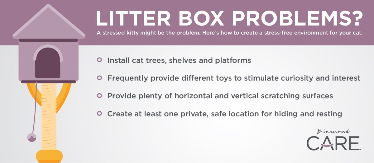 An interior graphic detailing four different ways to create a stress-free environment for your cat.
