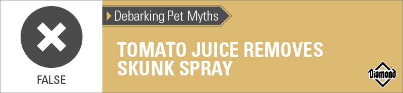 An interior graphic with text that reads, 'Debarking Pet Myths: Tomato juice removes skunk spray — False'.