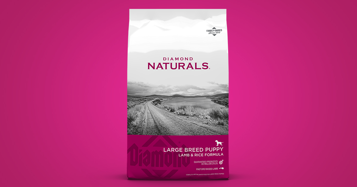 natural large breed puppy food