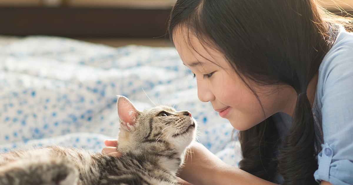 Girl Petting Her Cat | Diamond Pet Foods