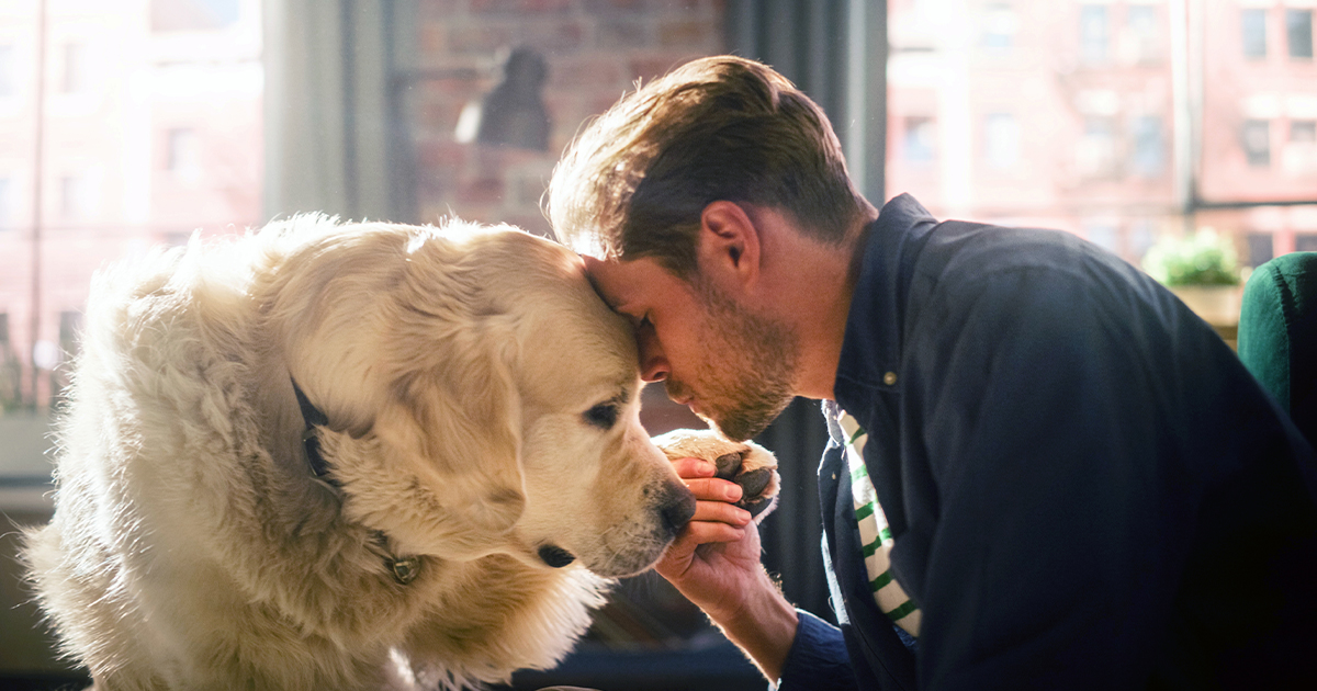 A man bending down and holding the paw of a golden retriever while touching his forehead to the dog’s head.