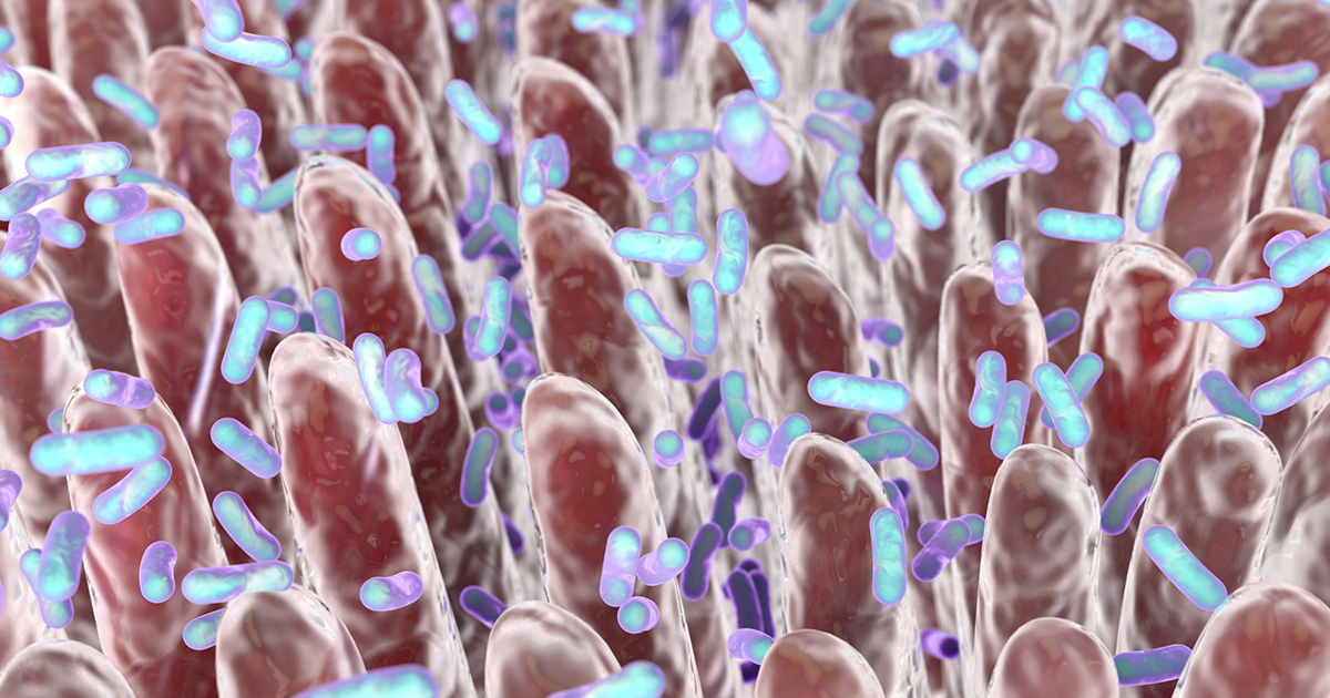 A close-up of an illustration of bacteria found inside the gut.
