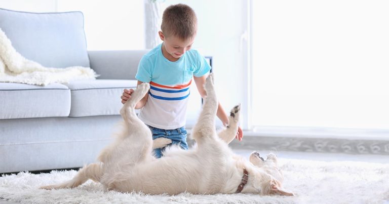A young boy playing with a dog in front of a couch on the floor.
