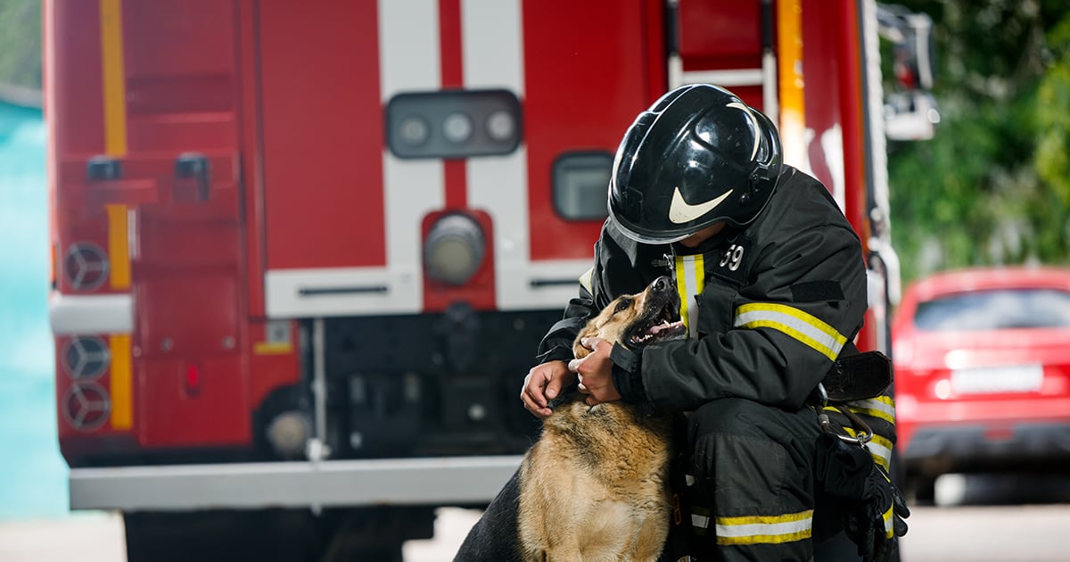 A fireman kneeling down to pet a dog in front of a fire truck.