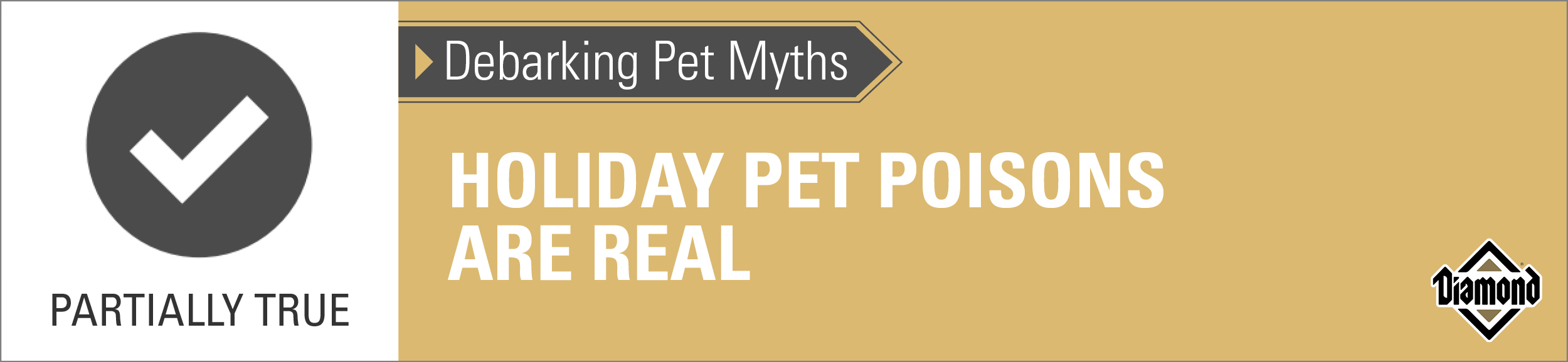 An interior graphic with text that reads, 'Debarking Pet Myths: Holiday pet poisons are real — Partially True'.