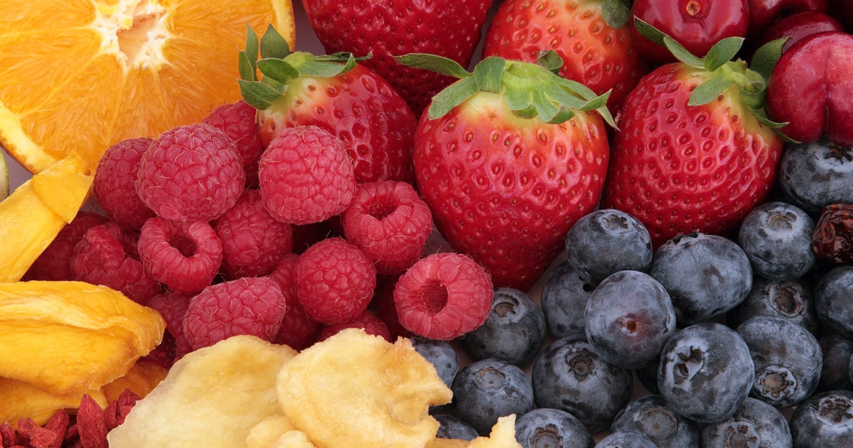 Pet Food Benefits: Antioxidants | Diamond Pet Foods