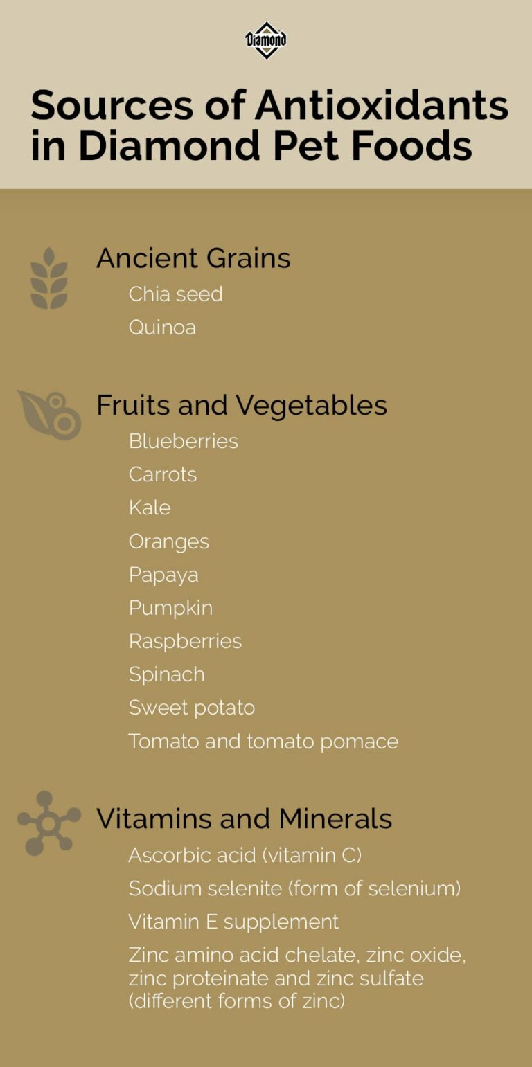 The Benefits of Antioxidants for Dogs - Do Weeds Provide Antioxidants For Dogs
