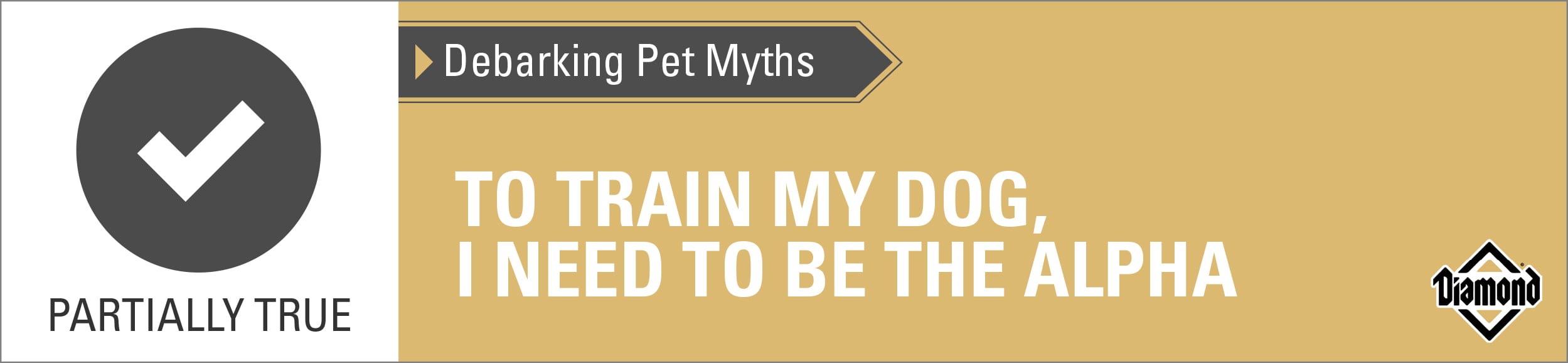 An interior graphic with text that reads, 'Debarking Pet Myths: To train my dog, I need to be the alpha — Partially True'.