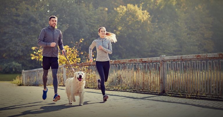 Couple Running with Dog | Diamond Pet Foods