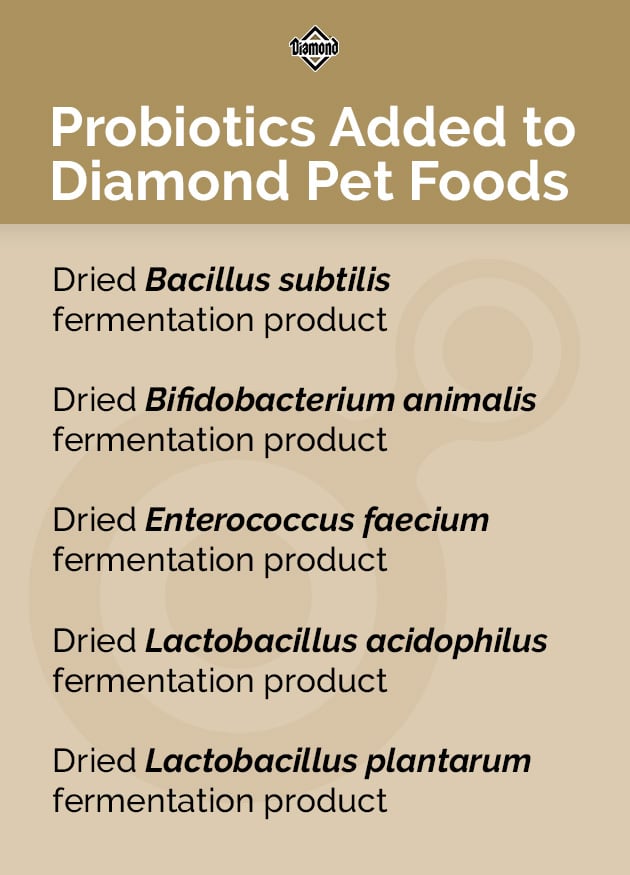 An interior graphic detailing the various probiotics that are added to Diamond Pet Foods.