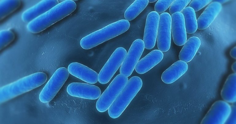 A microscopic illustration of probiotics.