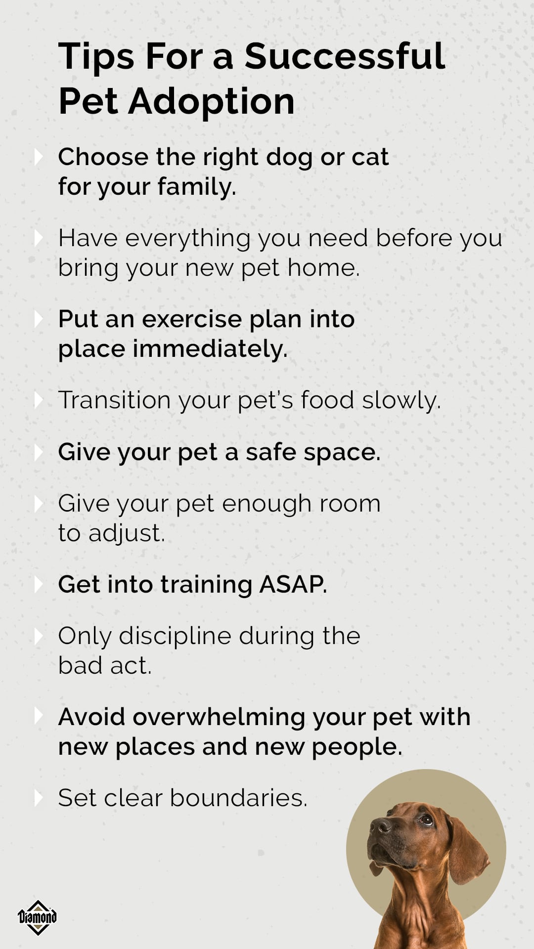 An interior graphic detailing 10 tips for a successful pet adoption.