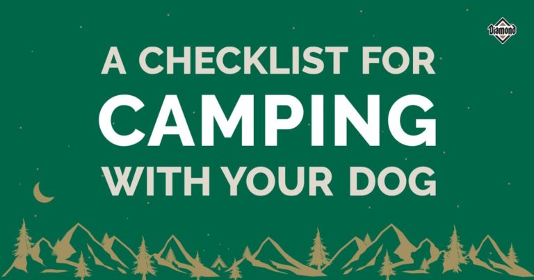 A cartoon graphic depicting mountains and trees under a starry sky with text that reads, 'A Checklist for Camping With Your Dog'.