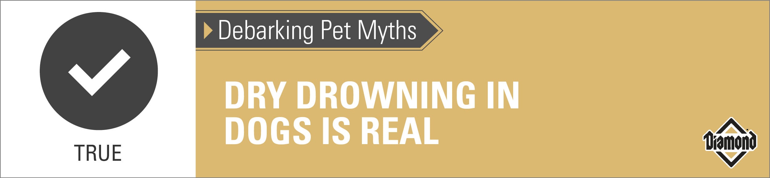 An interior graphic with text that reads, 'Debarking Pet Myths: Dry drowning in dogs is real — True'.