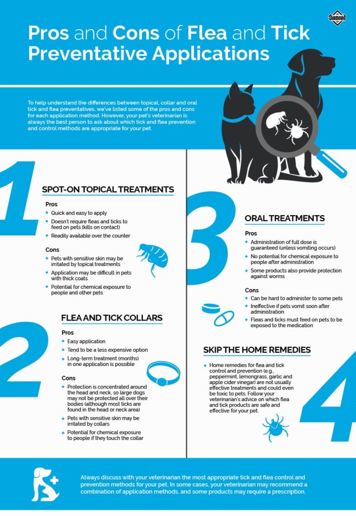 Image showcasing Flea and Tick Treatment Guide | Diamond Pet Foods