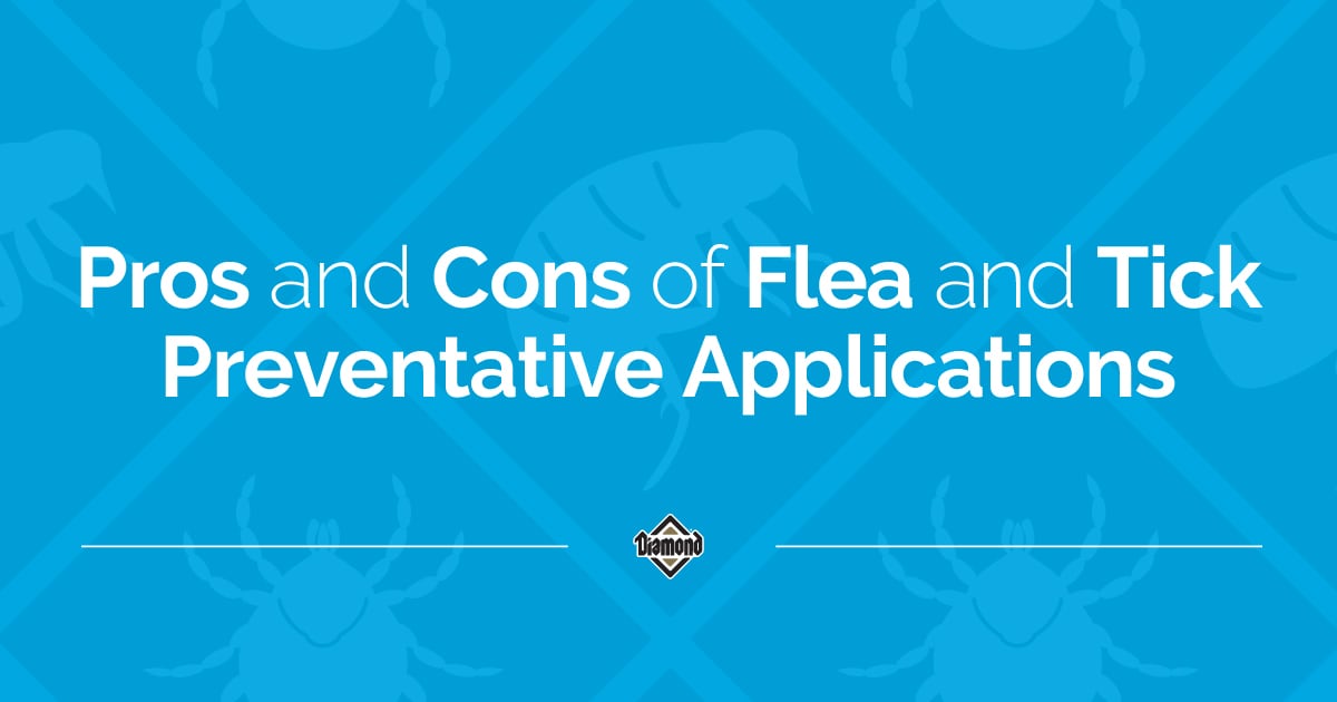 Pros and Cons of Flea and Tick Preventative Applications Text Graphic | Diamond Pet Foods