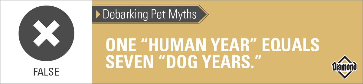 False: One Human Year Does Not Equal Seven Dog Years