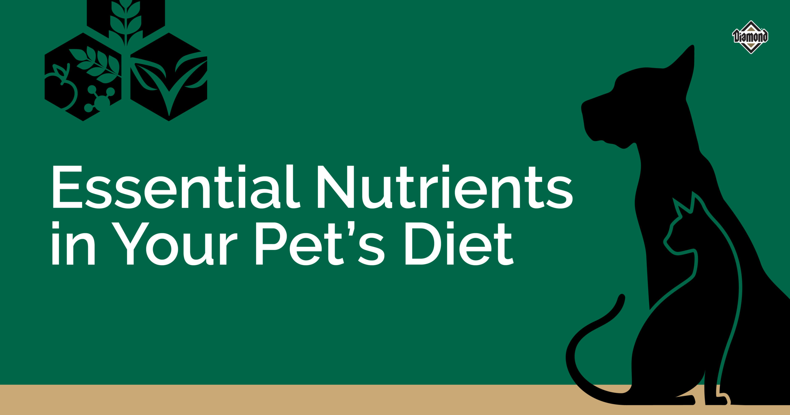 What’s Yucca Schidigera and Why’s It in My Pet’s Food? Diamond Pet Foods