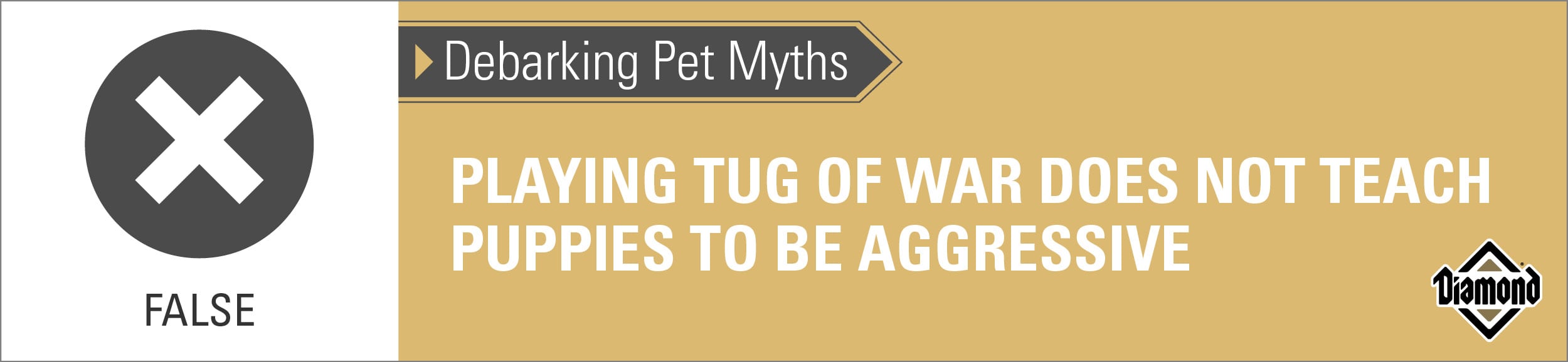 An interior graphic with text that reads, 'False — Debarking Pet Myths: Playing tug of war does not teach puppies to be aggressive'.