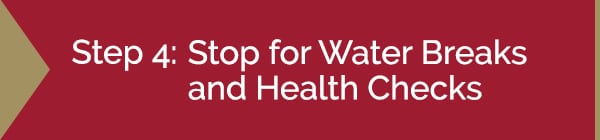 Step 4: Stop for Water Breaks and Health Checks Graphic | Diamond Pet Foods