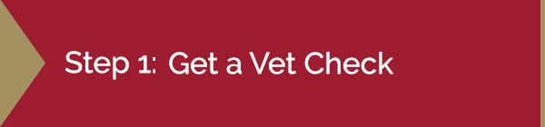 Step 1: Get a Vet Check Graphic | Diamond Pet Foods"