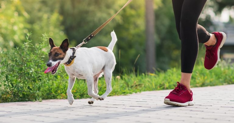 Woman Running Beside Dog on Leash | Diamond Pet Foods