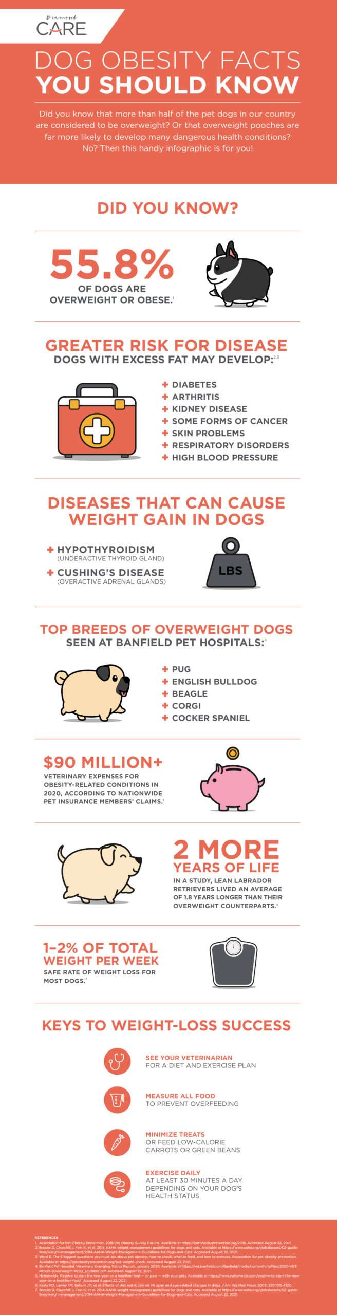 Infographic: Dog Obesity Facts You Should Know | Diamond Pet Foods