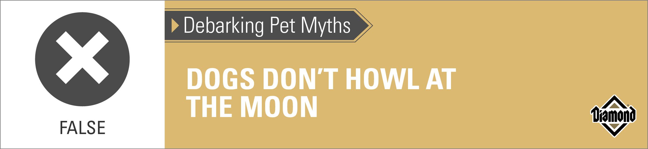 An interior graphic with text that reads, 'False — Debarking Pet Myths: Dogs don't howl at the moon'.
